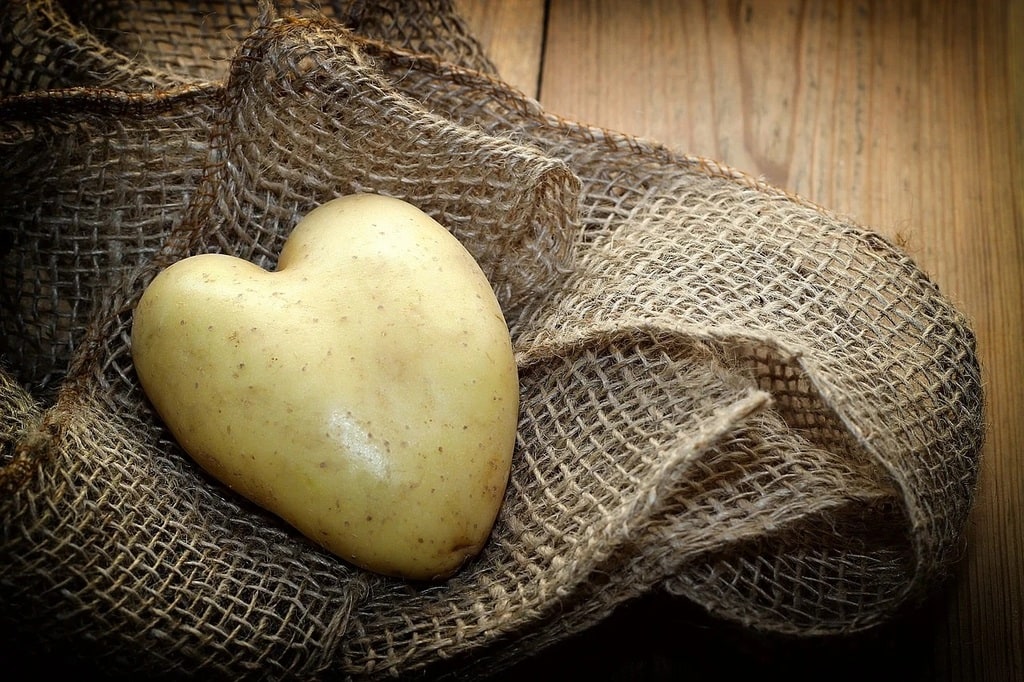Lire la suite à propos de l’article Prolonger la durée de vie des pommes de terre grâce à une bonne conservation