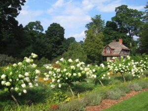 Lire la suite à propos de l’article Comment choisir une entreprise de parc et jardin  ?