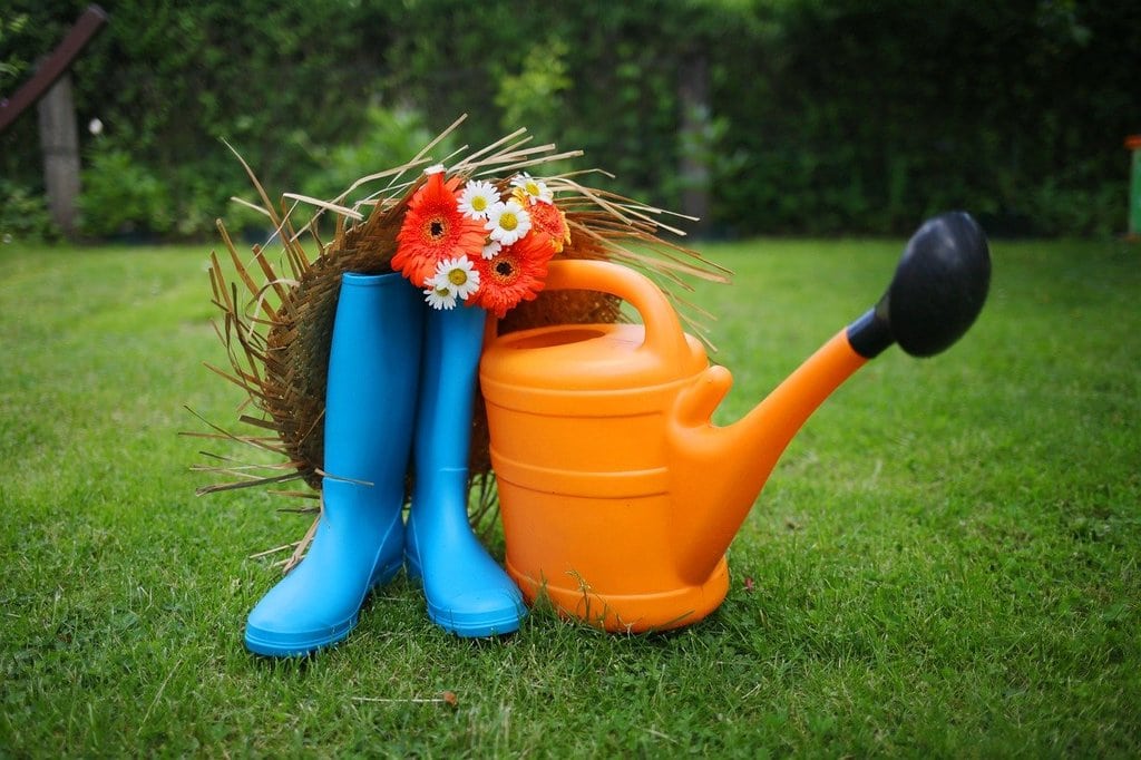 Les effets positifs du jardinage sur le moral