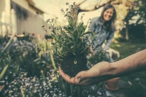 Lire la suite à propos de l’article Un jardin productif avec l&rsquo;engrais organique azoté